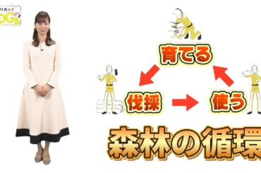 知りたい！SDGs #231 | 2024/2/29放送