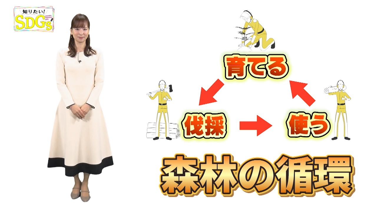 知りたい!SDGs #231 | 2024/2/29放送 知りたい!SDGs #231 | 2024/2/29放送