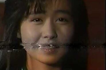 火曜サスペンス劇場　湾岸に消えた女 OP&EDのみ