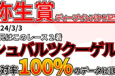 【弥生賞2024】内枠は厳しいか...？先週の結果&データ&有力馬情報&予想