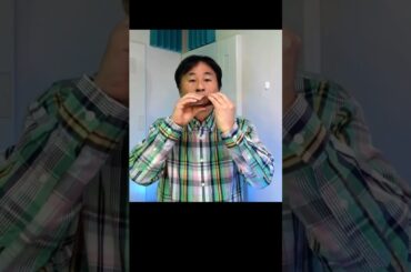 卒業-GRADUATION-／菊池桃子（関稔オカリナ演奏