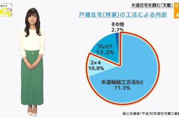 知りたい！SDGs #46 |2020年8月13日放送