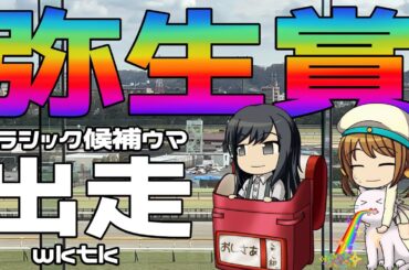 激荒れ！【2024年弥生賞ゆっくり競馬予想】クラシック候補ウマが出走しますね。あのレガレイラに勝ったウマです。楽しみすぎで、お酒の量が増えてしまいます。
