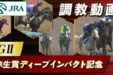 【調教動画】2024年 弥生賞ディープインパクト記念｜JRA公式
