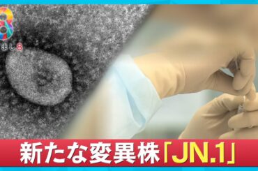 【急拡大】新型コロナ第10波か？ 新変異株ＪＮ.1とは？ 専門家「後遺症に注意」【めざまし８ニュース】