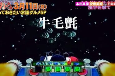 2024年3月11日予告