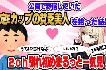 【総集編】2ch馴れ初めまるっと一気見！公園で野宿をしていた推定Eカップ美人を拾った結果【作業用】