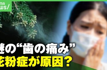 【花粉症で歯痛？】「走ると痛む人も…」SNSで相次ぐ謎の"歯の痛み" 原因は花粉症？対処法は？歯科医に聞く｜アベヒル