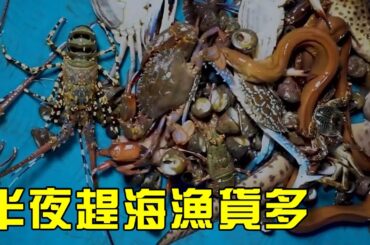 【猛貨合集】半夜小漁全家人出动，去海滩赶海收获颇丰，龙虾鳗鱼直接爆桶！【漁小仙】