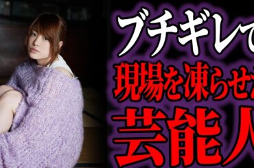 【ゆっくり解説】一体何が…？マジギレして人生急落した芸能人