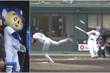 オープン戦初得点は三好の同点タイムリー！山本にハイタッチをスルーされたドアラ（笑） (2024/02/25)