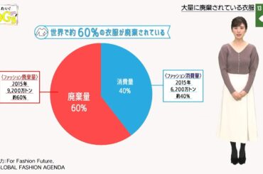 知りたい！SDGs #66 |2020年12月31日放送