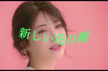 ｛祝一万回再生｝ 浜辺美波が大大大好きな僕の友達と作った動画