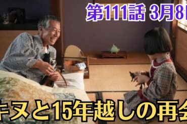朝ドラ・ブギウギ・第111話・3月8日！キヌと15年越しの再会！スズ子（趣里）は、杖をつきながら歩く初老の女性と目が合う。