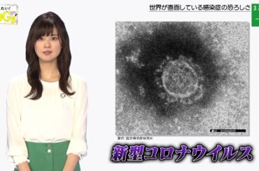 知りたい！SDGs #47 |2020年8月20日放送