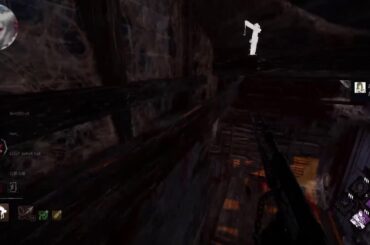 【DBD】週末#初見歓迎#本田翼大歓迎#クリーンな配信者#顔出しVtuber