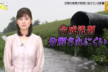 知りたい！SDGs #50 |2020年9月10日放送