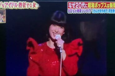 テレビ番組で紹介されました‼️けんかをやめて 🎵河合奈保子さん〜今１０代２０代女子が超ハマる歌姫🌺1982年秋🍂