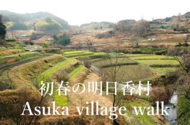 初春の明日香村　初めてなのに懐かしい風景【美しい田舎散歩】Asuka village walk in Japan