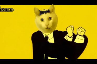 猫ミーム×BlingBangBangBorn