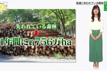 知りたい！SDGs #48 |2020年8月27日放送