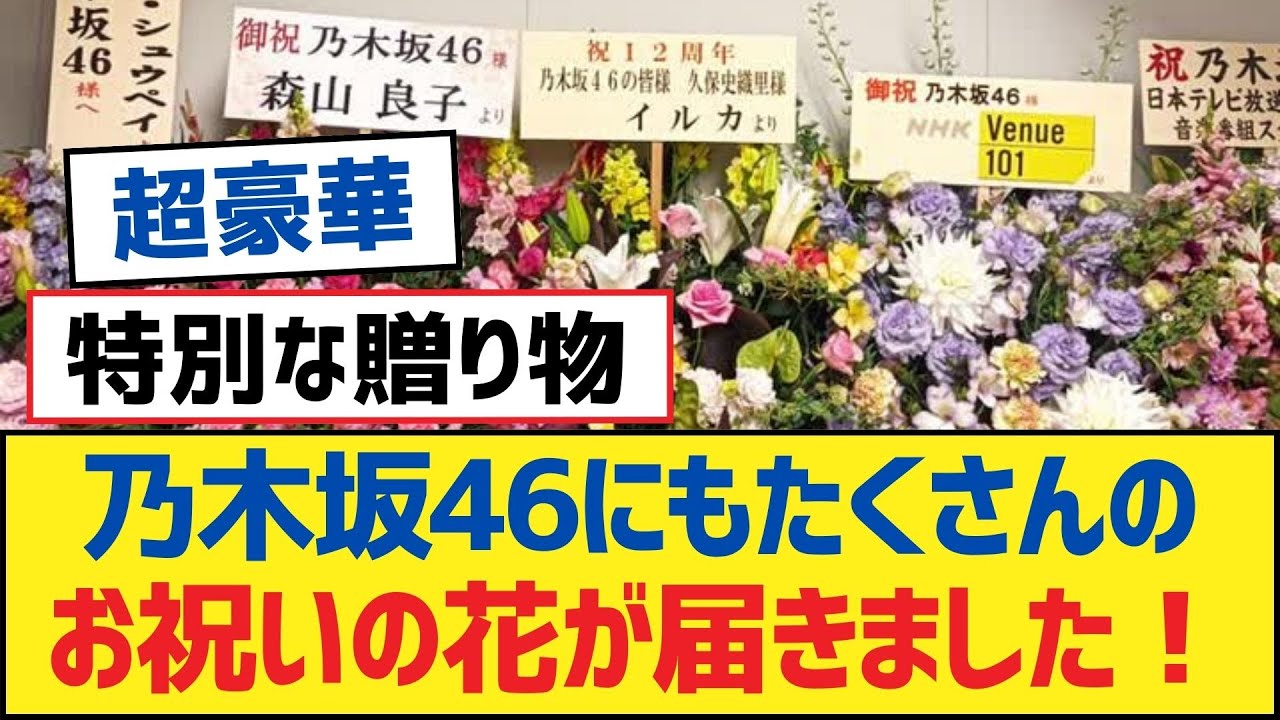 乃木坂46にもたくさんのお祝いの花が届きました!【乃木坂工事中・乃木坂46・乃木坂配信中】 乃木坂46にもたくさんのお祝いの花が届きました!【乃木坂工事中・乃木坂46・乃木坂配信中】