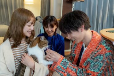 安達祐実×倉科カナ×渡邊圭祐、ネコ好き男女3人の共同生活／映画『三日月とネコ』予告編