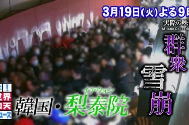 【公式】ザ！世界仰天ニュース　次回は「梨泰院雑踏事故の真実ＳＰ」