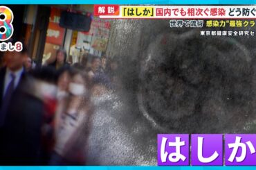 【どう防ぐ？】世界各地で「はしか」が大流行 海外由来と思われる感染 国内でも相次ぐ【めざまし８ニュース】