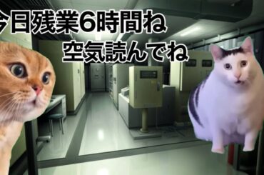 ブラック工場 正社員時代の1日（猫ミーム 猫マニ）