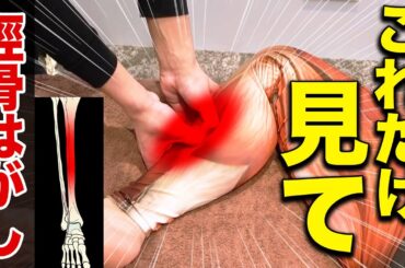 【この動画だけ見てください】腰痛にも効く「脛骨はがし」の全てが分かる最強の治療法！