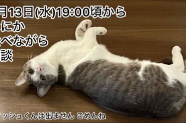 【第17回生配信】なにか食べながら雑談【佐々木琴子】