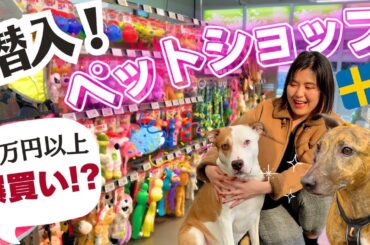 【ショッピング】愛犬が自分で選ぶ！ワクワクなお買い物に密着🐶❤️