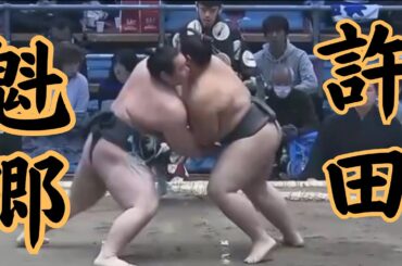 許田（二子山部屋）VS魁郷 令和6年3月場所1日目#sumo #相撲 #二子山部屋