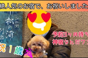 【超絶人気の神宿】滋賀県びわ湖松の浦　別邸で、お祝いしました🎂