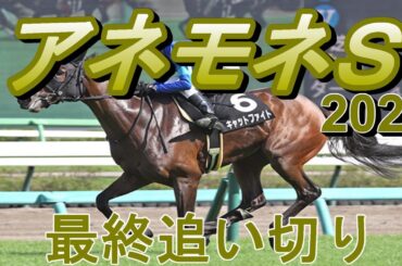 【アネモネステークス2024】アネモネステークス最終追い切り