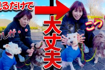 見れたら⚠️全て大丈夫‼️一生楽しいミラクルな人生に激好転❣️