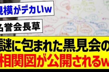 謎に包まれた黒見会の相関図が公開されるｗ【乃木坂46・坂道オタク反応集・黒見明香】