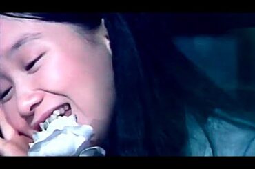 小さな恋の物語　アグネス・チャン　1973　ft. 南沙織 ほか