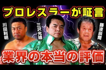 プロレスラーが暴露する本当の業界評価がヤバすぎた【三沢光晴】【川田利明】【藤波辰爾】