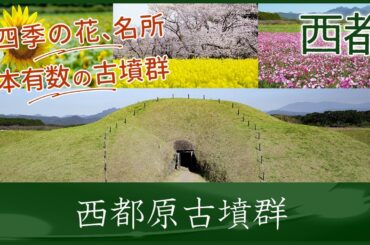 【宮崎県西都市】西都原古墳群
