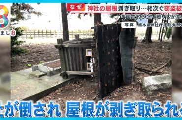 【なぜ】神社の屋根剥ぎ取られ無残な姿…相次ぐ被害 全国で30件も 転売目的？【めざまし８ニュース】