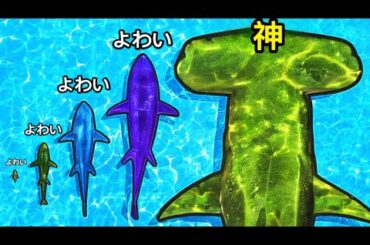 ちびサメが最大サイズのサメになるサバイバル【 SHARK: FEED AND GROW 】
