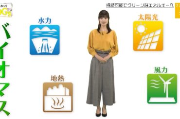 知りたい！SDGs #10 |2019年12月5日放送
