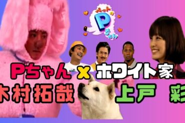 スマスマ ペットのPちゃん "Pちゃん x 上戸彩"  ホワイト家 スペシャルコラボ