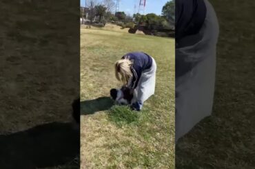 #柏木ひなた #shorts