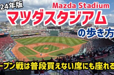 2024年版 マツダスタジアムの歩き方⚾広島カープのオープン戦で普段買えない席にも座れて満喫！