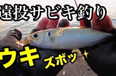 アジのウキ釣り！人気No.1サビキ仕掛けで浮きズボッやみつき⁉︎2024.3