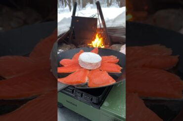 大自然で作る究極のチーズ料理 The ultimate cheese dish made in nature #shorts #food #outdoor #easelartstudio