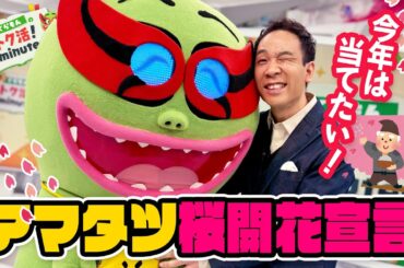 超暖冬なのにまだ咲かない！？天達気象予報士の桜開花予想〈くらもんのトク活！「ホッキョクグマ動画が話題」〉【めざまし８】